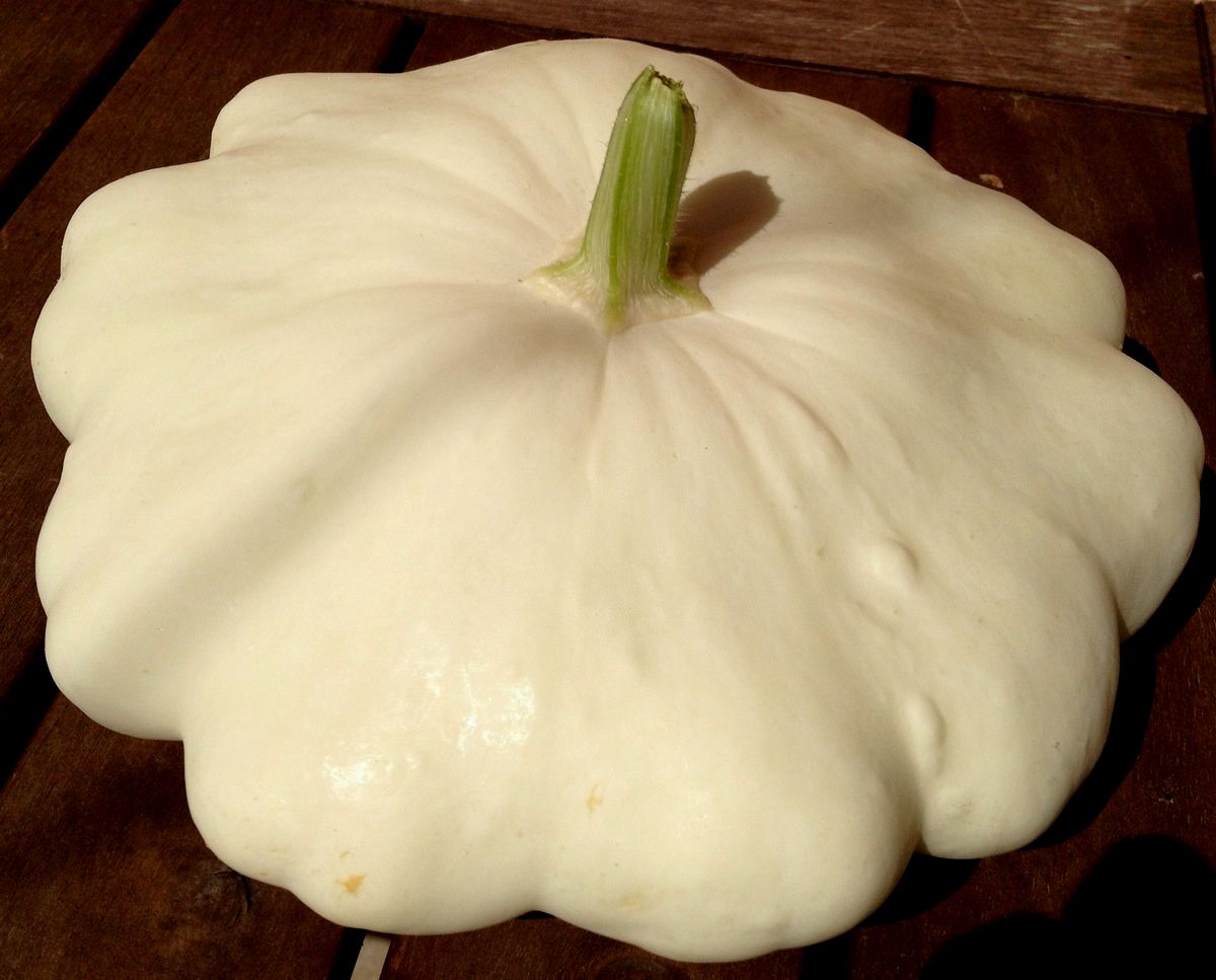 Juha od patišon tikvica
